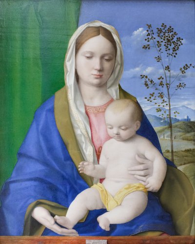 Virgen con el Niño, c.1500 (óleo sobre tabla) de Giovanni Bellini