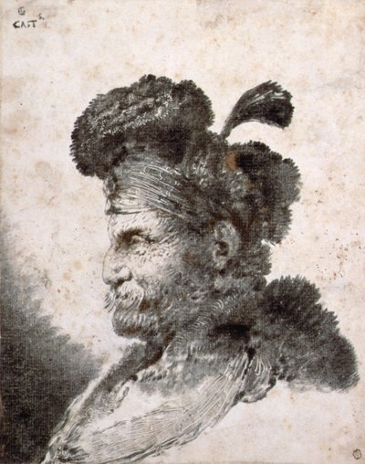 Cabeza de un oriental de perfil a la izquierda de Giovanni Benedetto Castiglione