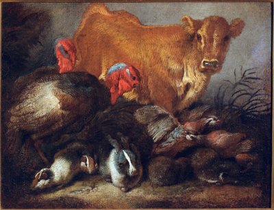 Estudio de animales: vaca, pavo, conejo. Pintura de Giovanni Benedetto Castiglione (il Grechetto) Génova, Musei di Strada Nuova de Giovanni Benedetto Castiglione