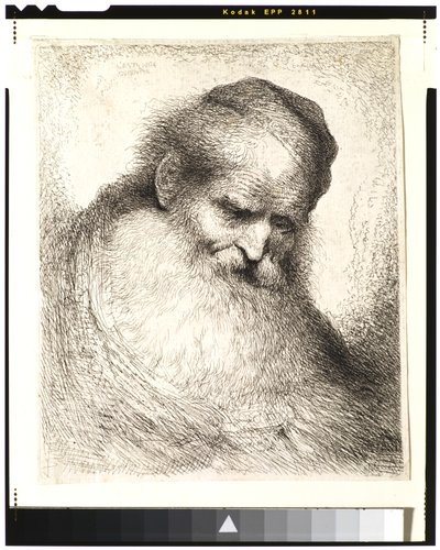 Viejo barbudo con la cabeza inclinada hacia adelante, usando un gorro, mirando a la derecha de Giovanni Benedetto Castiglione