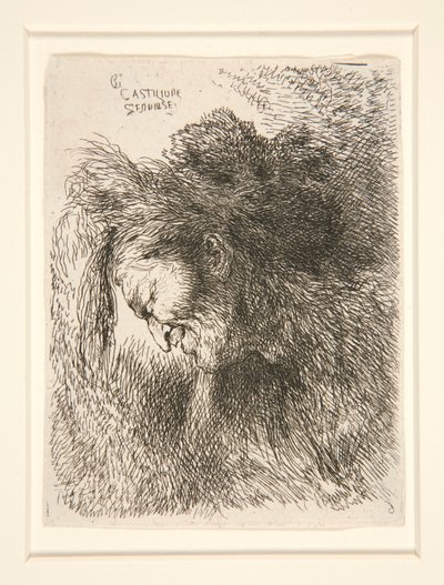 Figura con gorro de piel, mirando hacia la izquierda, de la serie Pequeños estudios de cabezas de Giovanni Benedetto Castiglione