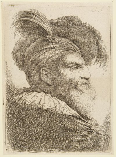 Cabeza de un hombre barbudo con sombrero emplumado de Giovanni Benedetto Castiglione