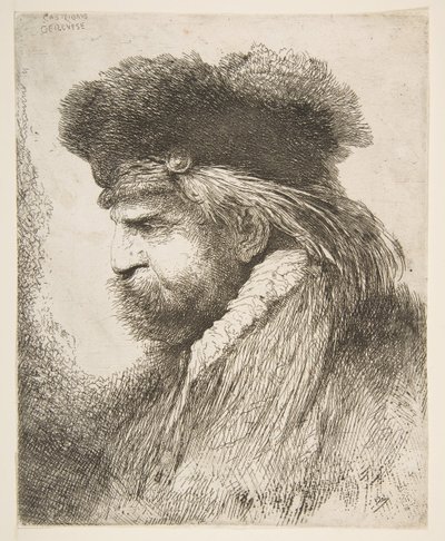 Cabeza de un anciano mirando a la izquierda, de la serie de Grandes Cabezas Orientales, ca. 1645-50 de Giovanni Benedetto Castiglione