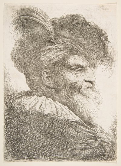 Cabeza de un anciano mirando a la derecha, de la serie de Grandes Cabezas Orientales, ca. 1645-1650 de Giovanni Benedetto Castiglione