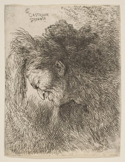 Cabeza de un anciano mirando hacia abajo, de la serie de Pequeñas Cabezas de Giovanni Benedetto Castiglione