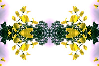 Unnatural 151.2 de Giovanni Cafagna