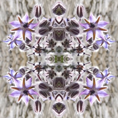 Unnatural 159 de Giovanni Cafagna