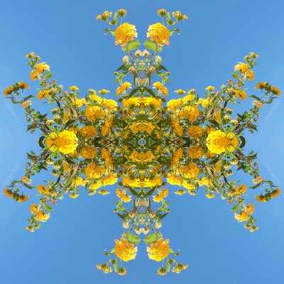 Unnatural 193 de Giovanni Cafagna
