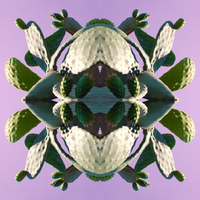 Unnatural 196 de Giovanni Cafagna