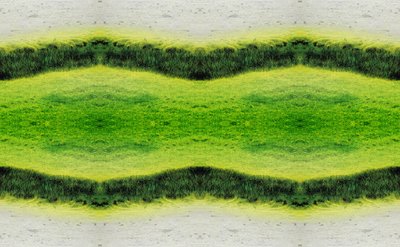 Antinatural 2.1 de Giovanni Cafagna