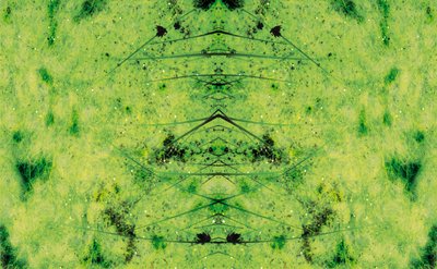 Antinatural 3 de Giovanni Cafagna