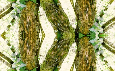 Antinatural 45 de Giovanni Cafagna