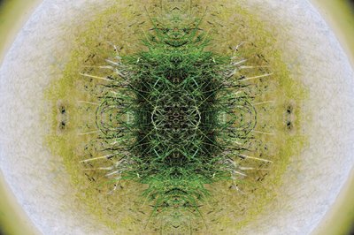 Antinatural 6.1 de Giovanni Cafagna