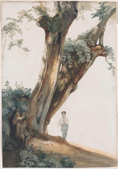 Árboles antiguos en la Campagna romana de Giovanni Costa