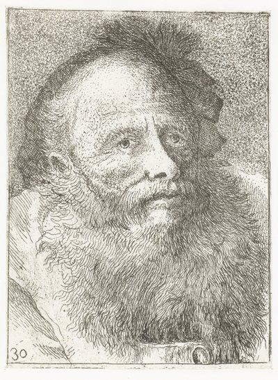 Hombre con barba y tocado con pluma Colección de cabezas (título de la serie) Raccolta di Teste (título de la serie) de Giovanni Domenico Tiepolo