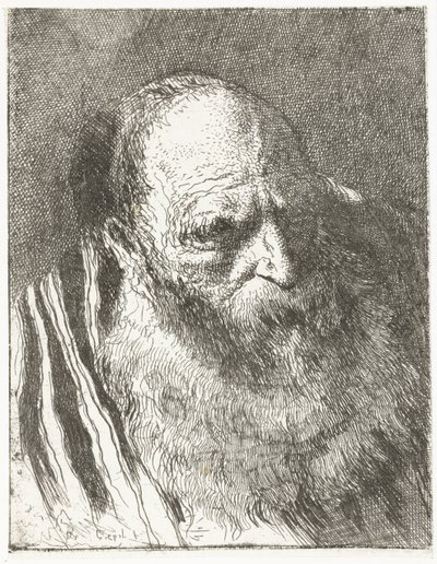 Hombre con barba en capa a rayas Colección de cabezas (título de la serie) Raccolta di Teste (título de la serie) de Giovanni Domenico Tiepolo