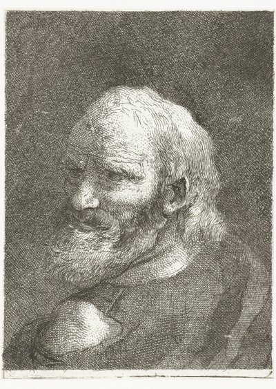 hombre, con, hombro descubierto Colección de cabezas (título de la serie) Raccolta di Teste (título de la serie) de Giovanni Domenico Tiepolo