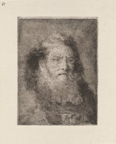 Viejo con la cabeza descubierta, de la Raccolta di Teste (Colección de cabezas) de Giovanni Domenico Tiepolo