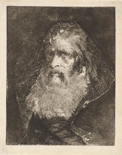 Viejo con la cabeza descubierta, de la Raccolta di Teste (Colección de cabezas) de Giovanni Domenico Tiepolo