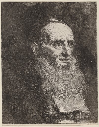 Anciano con barba de Giovanni Domenico Tiepolo