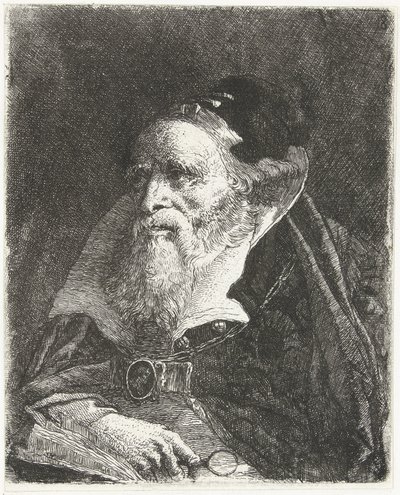 Viejo con libro y lupa Colección de cabezas (título de la serie) Raccolta di Teste (título de la serie) de Giovanni Domenico Tiepolo