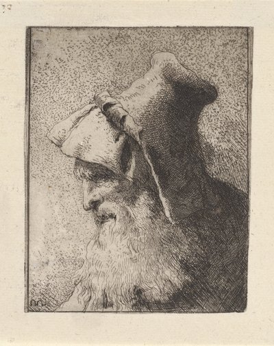 Perfil de un anciano con barba, de la Raccolta di Teste (Colección de cabezas) de Giovanni Domenico Tiepolo