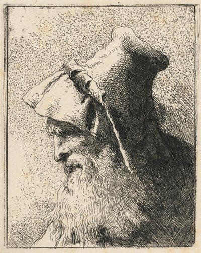 Perfil de un anciano con barba de Giovanni Domenico Tiepolo