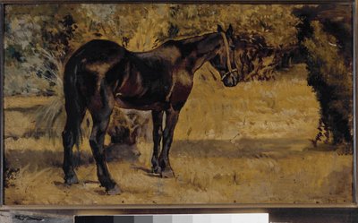 Caballo oscuro de Giovanni Fattori