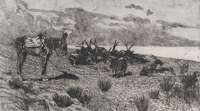 Burro y cabras en una playa en invierno de Giovanni Fattori