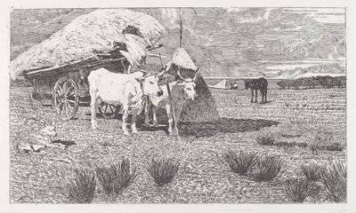 Bueyes uncidos a un carro (Maremma) de Giovanni Fattori