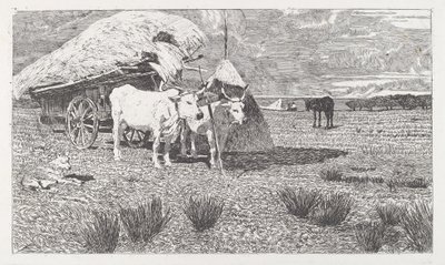 Bueyes Uncidos al Carro (Maremma) de Giovanni Fattori
