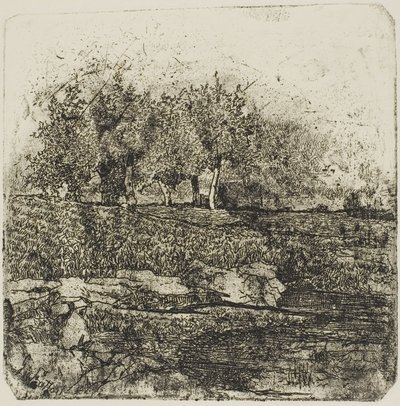 Árboles en un prado de Giovanni Fattori