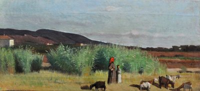 Dos campesinas con rebaños en la campiña de Livorno, c.1865 (óleo sobre lienzo) de Giovanni Fattori