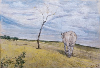 Caballo blanco de Giovanni Fattori