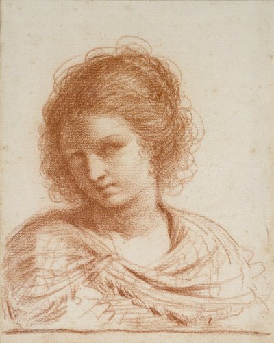 Cabeza de una joven, 1650 - 1666 de Giovanni Francesco Barbieri