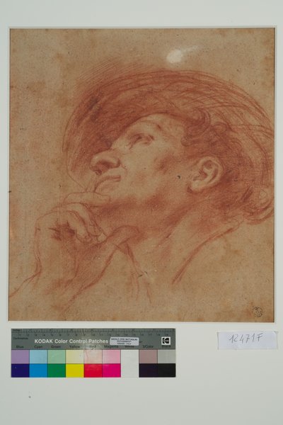 Estudio para la Cabeza del Profeta Hageo de Giovanni Francesco Barbieri