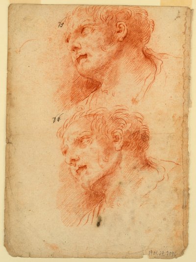 Cuatro estudios después de la cabeza de un hombre de Giovanni Giardini