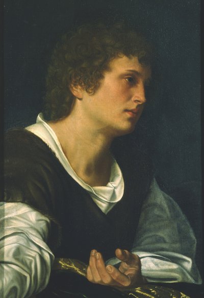 San Juan Evangelista (óleo sobre lienzo) de Giovanni Girolamo Savoldo