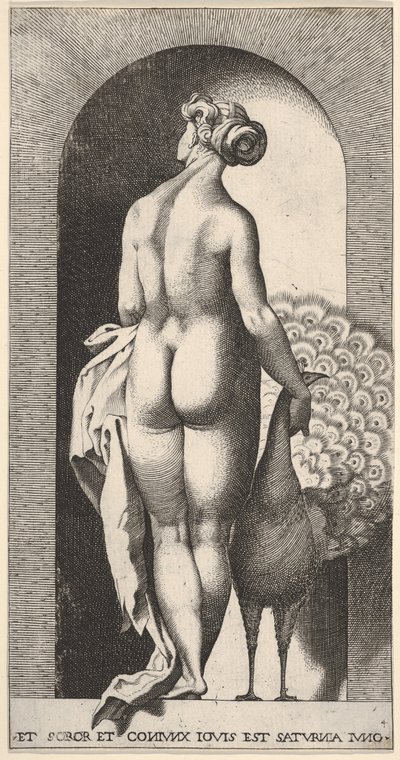 Lámina 4: Juno de pie en un nicho, vista desde atrás, acariciando un pavo real a su derecha, 1526 de Giovanni Jacopo Caraglio
