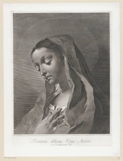 María La Virgen María de la Trinidad (título sobre objeto) de Giovanni Marco Pitteri