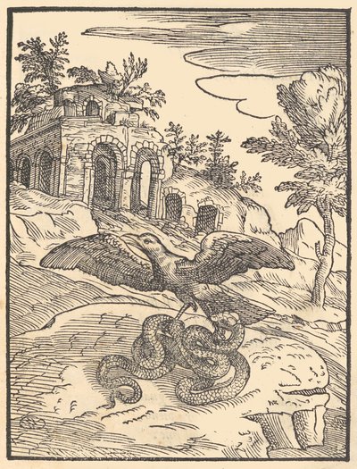 Pájaro y serpiente de Giovanni Maria Verdizotti