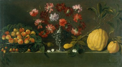Ciruelas en un plato, claveles en una urna, membrillos en un seto (óleo) de Giovanni Quinsa