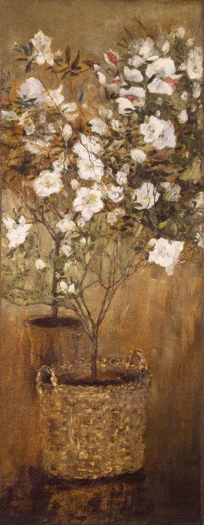 Macetas de azaleas de Giovanni Segantini