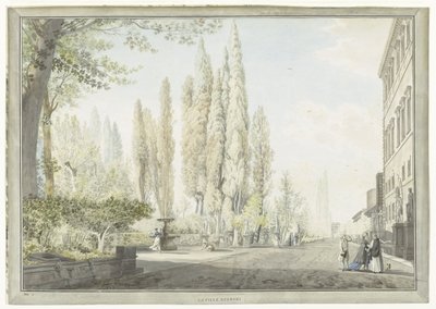 Vista de Villa Montalto en Roma La ville Negroni (título sobre objeto) Vistas de Roma y sus alrededores (título de la serie) de Giovanni Volpato