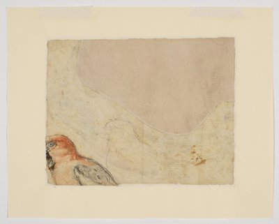 Estudio de aves, reverso (tiza sobre papel) de Giovanni da Udine (after)
