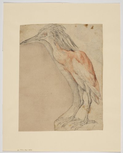 Garza, anverso de Giovanni da Udine (after)