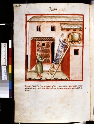 Theatrum sanitatis de Ububchasym de Baldach: "Acetum", primera década del siglo XIV (miniatura) de Giovannino de