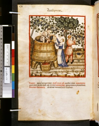 Theatrum sanitatis de Ububchasym de Baldach: "Autupnus", primera década del siglo XIV (miniatura) de Giovannino de