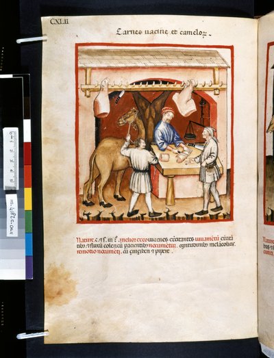 Theatrum sanitatis de Ububchasym de Baldach: "Carnes Va cinae et Camelorum", primera década del siglo XIV (miniatura) de Giovannino de