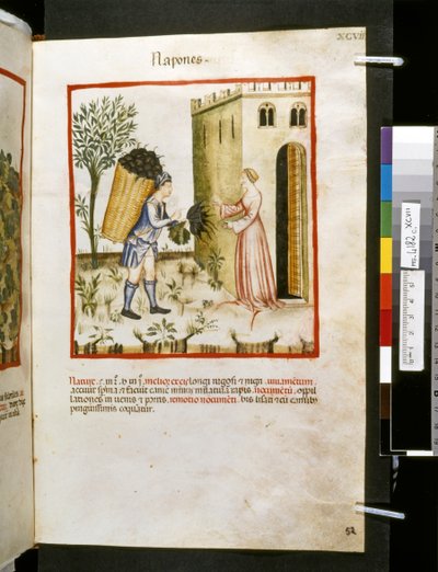 Theatrum sanitatis de Ububchasym de Baldach: "Napones", primera década del siglo XIV (miniatura) de Giovannino de